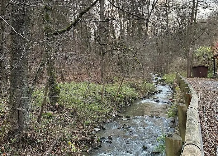 Comfy Nature Apartment